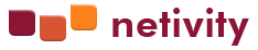Netivity Consultancy & Internet Services